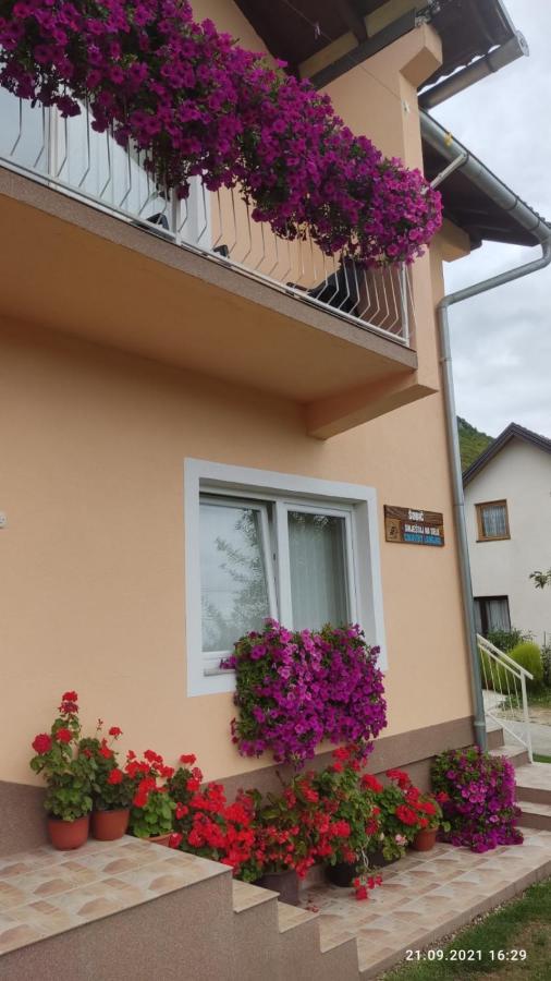 Guest House Sobic Sipovo المظهر الخارجي الصورة